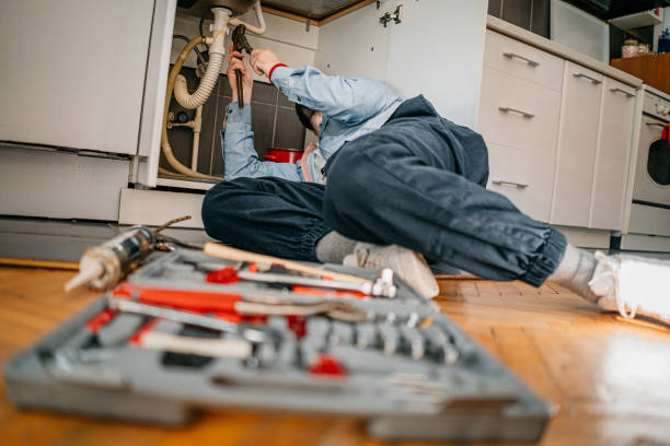 Best Commercial Plumbing Services  in Plainwell, MI