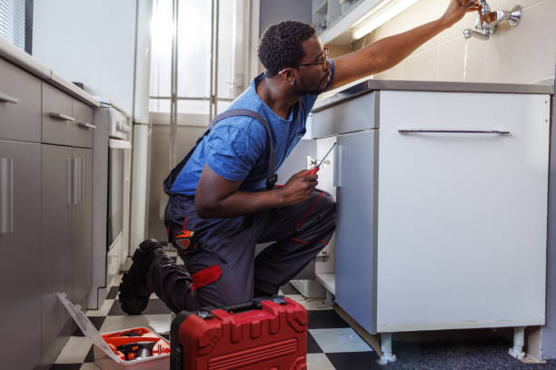 Best Residential Plumbing Services  in Plainwell, MI
